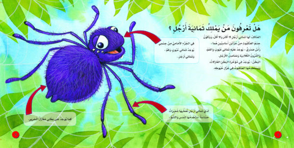 ⁦اكتشف عالم العناكب⁩ - الصورة ⁦4⁩