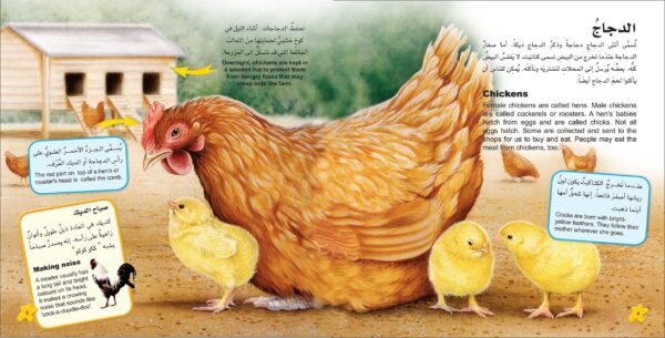 ⁦أحب حيوانات المزرعة⁩ - الصورة ⁦2⁩