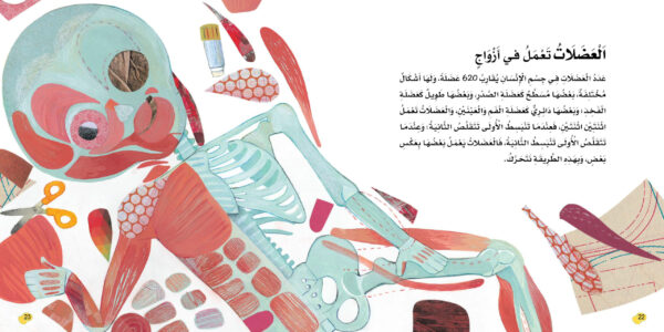عجائب جسم الإنسان - Image 3