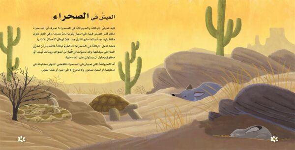 ⁦عجائب الطبيعة⁩ - الصورة ⁦2⁩