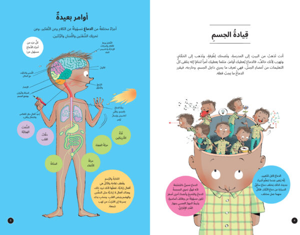 ⁦داخل جسم الإنسان من صنع الله⁩ - الصورة ⁦2⁩