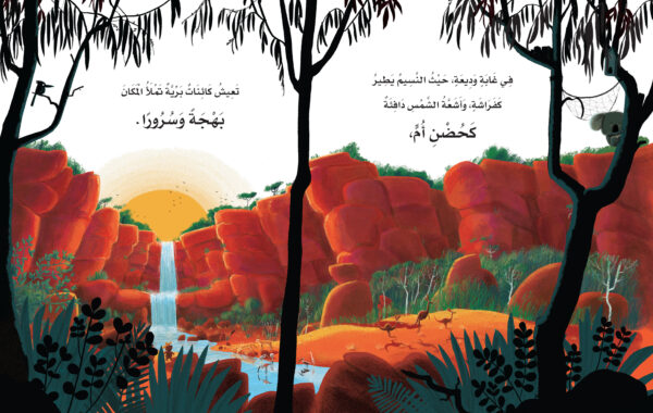 ⁦عندما قفز الكوالا⁩ - الصورة ⁦4⁩